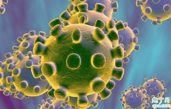 蚊子会传播新型冠状病毒吗 被蚊子咬会感染新型冠状飞肺炎吗
