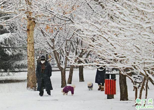 新型冠状病毒在雪里能存活吗 新型冠状病毒在雪里会不会传染