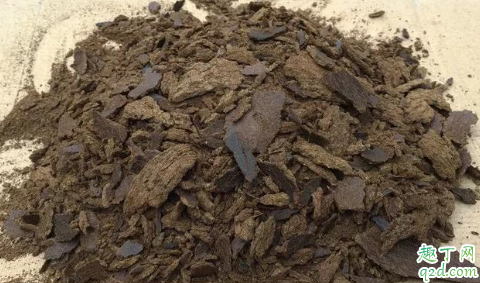 炒熟黄豆粉加菜籽饼一起好打窝吗 钓大头鱼和鲢鳙怎么配饵料