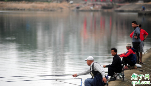 钓鱼忘带抄网怎么办 钓鱼不用抄网不可以吗