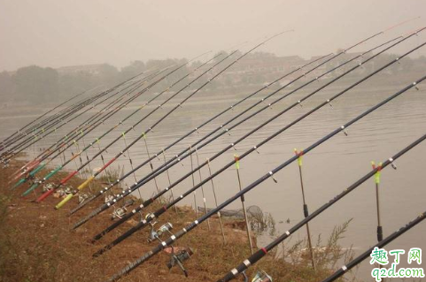 钓鱼忘带抄网怎么办 钓鱼不用抄网不可以吗