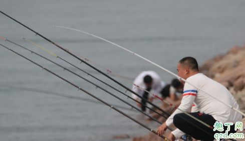 8.1的鱼竿要多重好用 8.1鱼竿怎么选择比较好