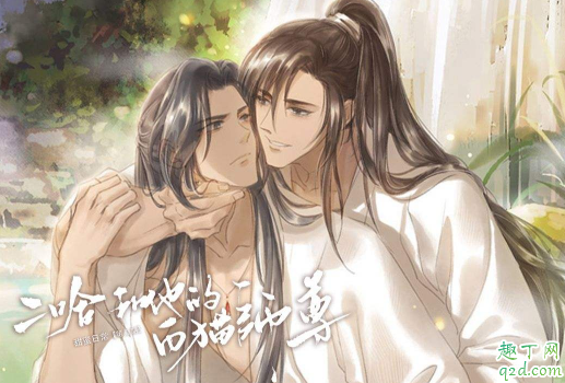 皓衣行根据什么小说改编的 皓衣行小说在哪免费看