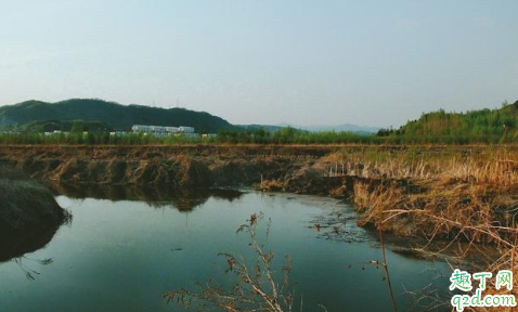 冬天钓鲫鱼钓深还是钓弯 野钓鲫鱼调漂最佳方法2020