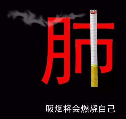 吸烟对身体的危害 香烟点燃后产生的有害物质 吸烟与癌症的关系