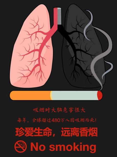 吸烟对身体的危害 香烟点燃后产生的有害物质 吸烟与癌症的关系