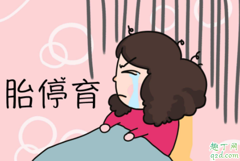 胎停有没有希望活过来 孕早期胎停育有哪些征兆