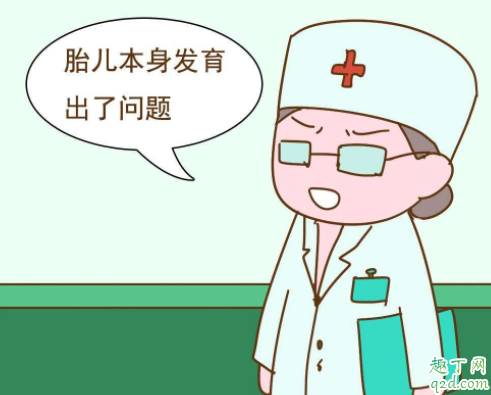 怀孕了为什么会出现胎停育了 胎停育后怀孕做什么检查