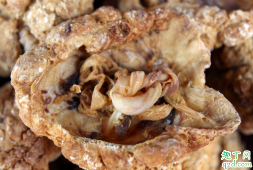 生了宝宝胎盘怎么处理 胎盘真的能吃吗