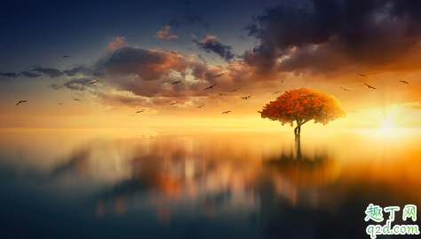 2020二月第一天怎么发微信朋友圈 二月第一天朋友圈说说文案