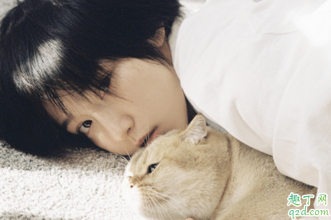 爱情公寓5诸葛大力是谁扮演的 诸葛大力微博名叫什么