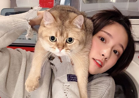 爱情公寓5诸葛大力壁纸高清 诸葛大力图片手机壁纸无水印