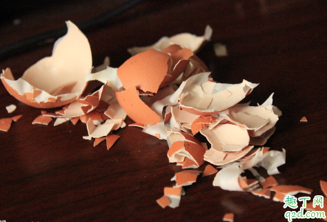 鸡蛋壳和橘子皮可以一起泡水沤肥吗 鸡蛋壳做肥料适用于哪些花卉