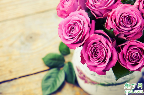 玫瑰花冬天能开花不 玫瑰花花期能有多长