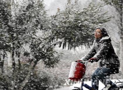 初春倒春寒养生要注意什么 倒春寒养生有什么方法能让人不生病