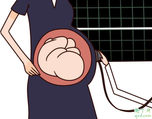 怀孕后没有看到胎心胎芽怎么回事 怀孕多长时间用胎心监护器