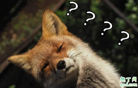 抛妇产什么梗 抛妇产什么意思