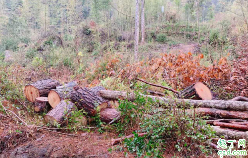 农夫山泉武夷山取水事件经过 如何评价农夫山泉武夷山事件