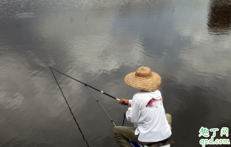 野钓用拉饵钓鲫鱼要不要打窝 野钓鲫鱼打窝有什么技巧