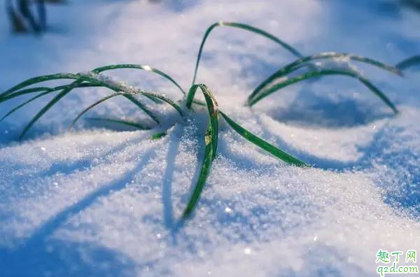 冬至天晴好还是下雨好 冬至天气有什么说法