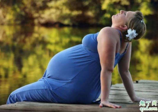 胎芽是卵黄囊发育的吗 有卵黄囊没胎芽胎心多长时间可以判定胎停