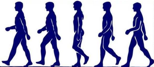 如何矫正错误走路姿势？正确走姿学7大秘诀走出健康和优雅