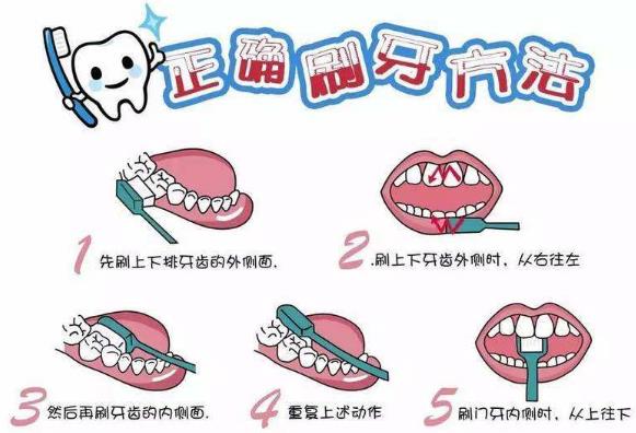 口臭常见原因及怎么办？通过正确刷牙轻松排除口腔异味