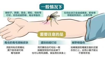 在野外被毒蚊子咬了怎么办？孕妇被毒蚊子咬了怎么消肿止痒
