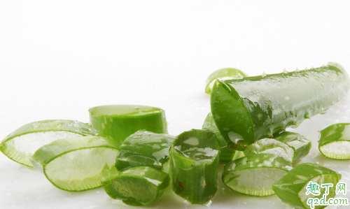 家养的芦荟能给孕妇吃吗 哪些人不宜吃芦荟