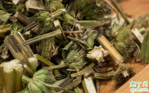 益母草孕初期能不能喝 孕初期误食了益母草会不会流产