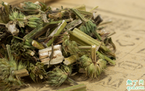 益母草孕初期能不能喝 孕初期误食了益母草会不会流产