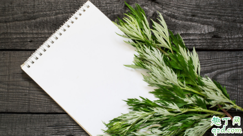 艾叶煮水能不能给孕妇用 孕妇使用艾叶水需注意哪些事项