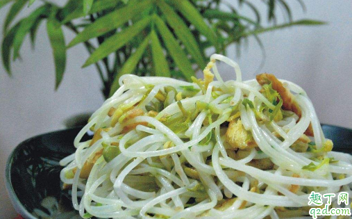 绿豆芽能给刚怀孕的人吃吗 孕期吃绿豆芽有没有营养