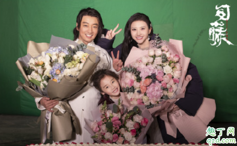 电视剧司藤播出时间 电视剧司藤讲的是什么