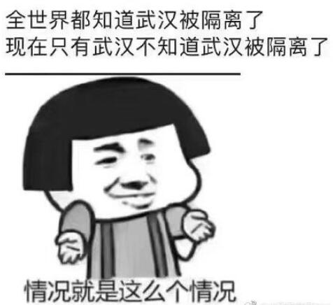 武汉肺炎朋友圈表情包 关于武汉新型病毒感染表情恶搞