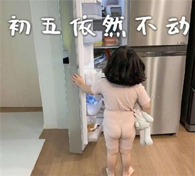 朋友圈春节待在家表情包带字2020 初一一动不动初二按兵不动