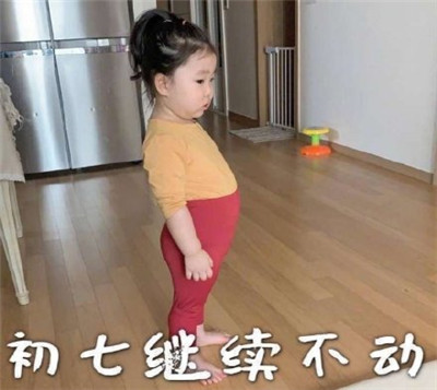 朋友圈春节待在家表情包带字2020 初一一动不动初二按兵不动