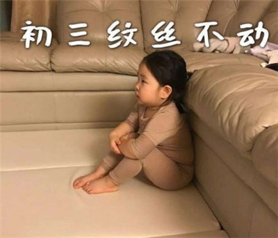 朋友圈春节待在家表情包带字2020 初一一动不动初二按兵不动