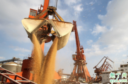 大豆荚不实怎么施肥 怎么播种避免大豆荚不实