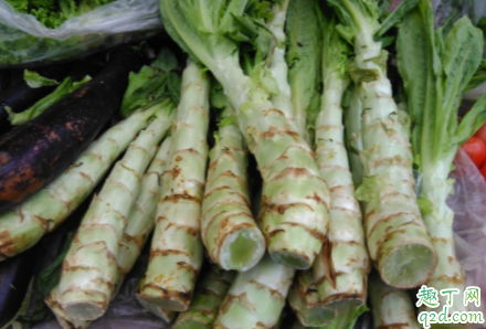 莴苣为什么会有软腐病 莴苣软腐病有什么危害