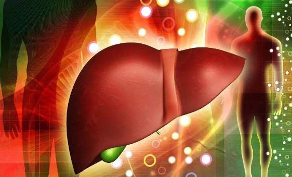 春季如何养肝?七种营养保护肝健康,不同体质的人养肝方法不同