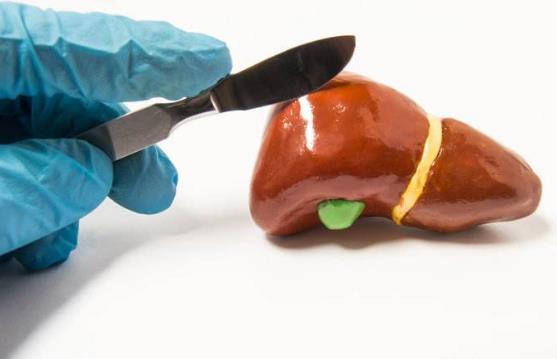 春季如何养肝?七种营养保护肝健康,不同体质的人养肝方法不同