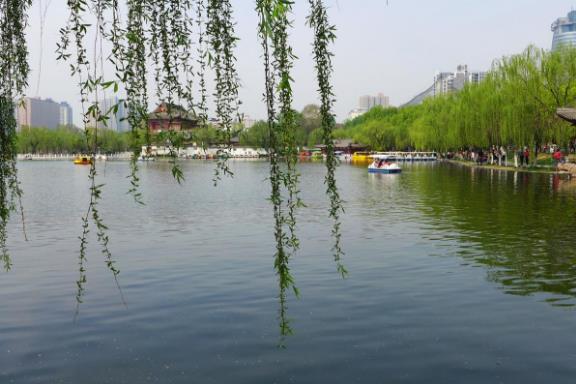 春游的好处有哪些？春季旅游要自备哪些急救药