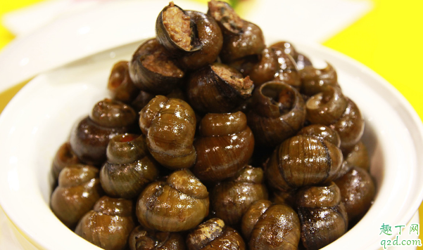 孕妇偶尔吃下田螺能行不 吃田螺会不会致使胎儿畸形