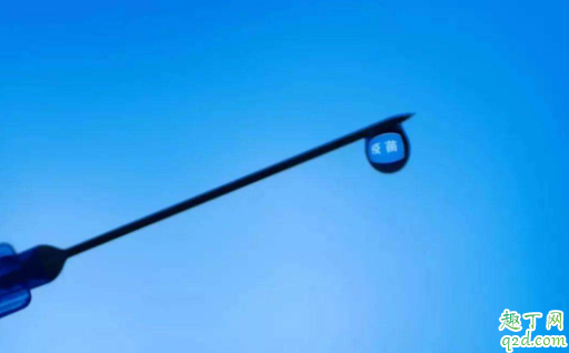 打百白破拉肚子怎么回事 拉肚子打了百白破疫苗会不会有影响