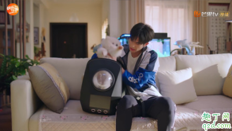 下一站是幸福元宋的狗什么品种 下一站是幸福男主同款狗多少钱