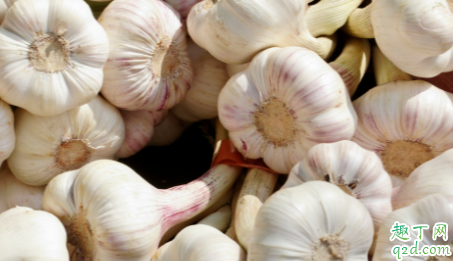 草木灰对大蒜有什么作用 草木灰可以防止大蒜病虫害吗