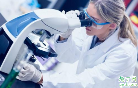 备孕有必要查黄体功能吗 备孕查黄体功能最佳时间