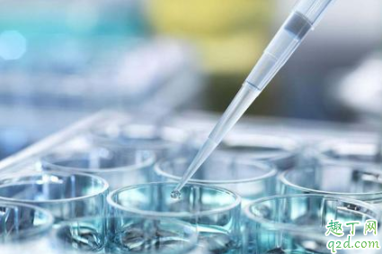 促排卵怀孕几率有多大 促排怀孕可以不保胎吗