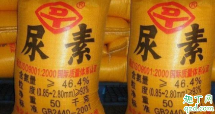 小麦喷施尿素一亩用多少合适 小麦什么时候可以喷施尿素